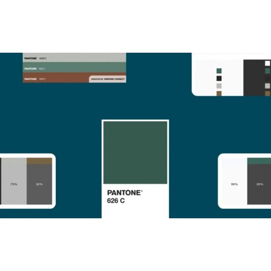 PANTONE® Connect |Convert to a Pantone color from RGB / HEX / CMYK and L*a*b*
