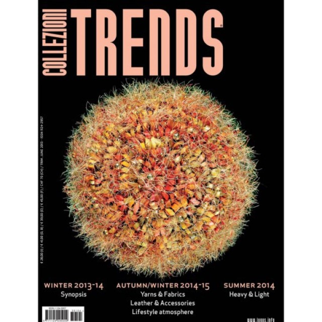 Collezioni Trends Magazine