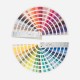 Pantone FHI Color Guide, Limited Edition Color of the Year 2026
