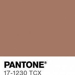 Pantone Cotton Swatch Cards, Pantone Color of the Year 2025