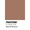 Pantone Cotton Swatch Cards, Pantone Color of the Year 2025