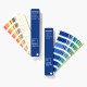 Pantone FHI Color Guide, Limited Edition Color of the Year 2020 Pantone FHI Color Guide, Limited Edition Color of the Year 2020