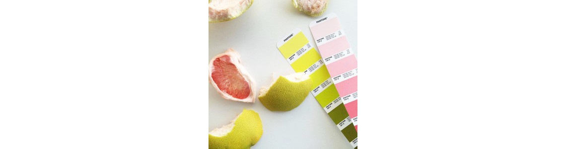 Pantone Shade Cards | Pantone Color Charts Pantone Shade Cards | Pantone Color Charts