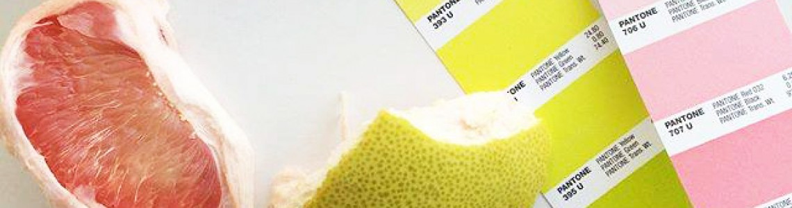 Pantone Shade Cards | Pantone Color Charts Pantone Shade Cards | Pantone Color Charts