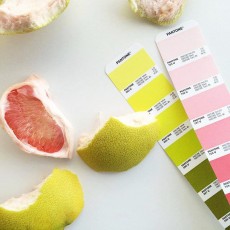 Pantone Shade Cards | Pantone Color Charts