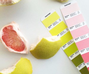 Pantone Shade Cards | Pantone Color Charts