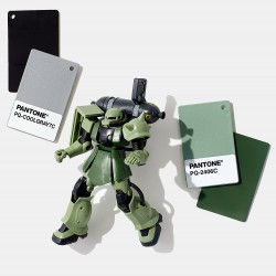 Pantone Plastic Chips