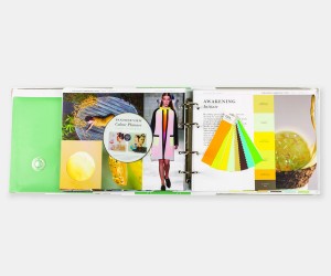 Pantone Trend Forecasts