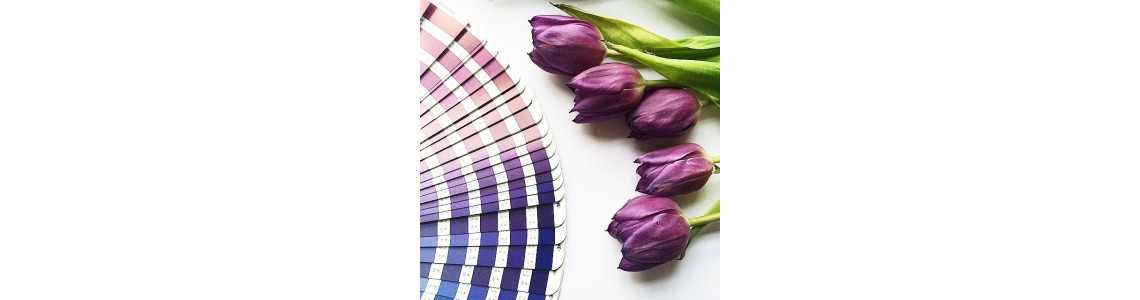 Pantone Value Bundles Pantone Value Bundles