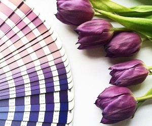 Pantone Value Bundles