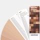 Pantone Skintone Fan Guide Pantone Skintone Fan Guide