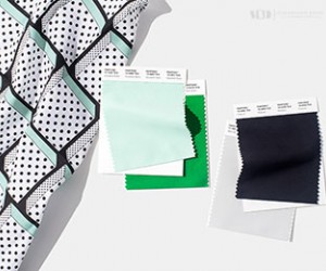 Pantone Replacement Pages, Chips & Swatches