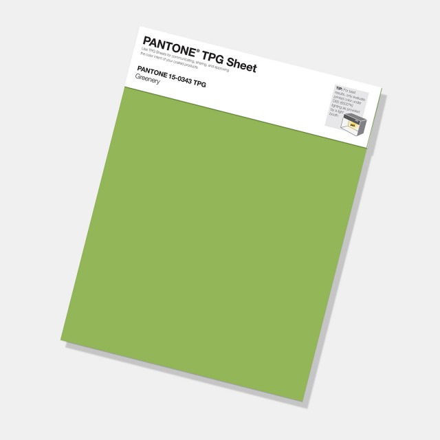 TPG Sheets TPG Sheets