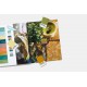 PANTONEVIEW home + interiors 2020 with Plastic Standards Color for a New Era: Trends, Twists and Tweaks PANTONEVIEW home + interiors 2020 with Plastic Standards Color for a New Era: Trends, Twists and Tweaks