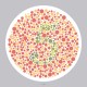 Ishihara’s Test For Colour Deficiency 14 Plates Edition Ishihara’s Test For Colour Deficiency 14 Plates Edition