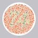 Ishihara’s Test For Colour Deficiency 14 Plates Edition Ishihara’s Test For Colour Deficiency 14 Plates Edition