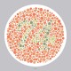 Ishihara’s Test  For Colour Deficiency 14 Plates Edition