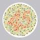 Ishihara’s Test For Colour Deficiency 14 Plates Edition Ishihara’s Test For Colour Deficiency 14 Plates Edition