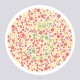Ishihara’s Test For Colour Deficiency 14 Plates Edition Ishihara’s Test For Colour Deficiency 14 Plates Edition