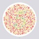 Ishihara’s Test  For Colour Deficiency 14 Plates Edition