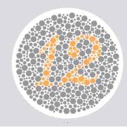 Ishihara’s Test  For Colour Deficiency 38 Plates Edition