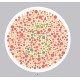 Ishihara’s Test  For Colour Deficiency 38 Plates Edition