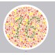 Ishihara’s Test For Colour Deficiency 14 Plates Edition Ishihara’s Test For Colour Deficiency 14 Plates Edition