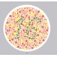 Ishihara’s Test  For Colour Deficiency 38 Plates Edition