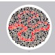 Ishihara’s Test For Colour Deficiency 38 Plates Edition Ishihara’s Test For Colour Deficiency 38 Plates Edition