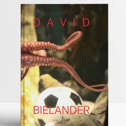 David Bielander: Twenty Years. 2016-1996