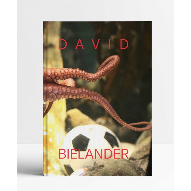 David Bielander: Twenty Years. 2016-1996 David Bielander: Twenty Years. 2016-1996
