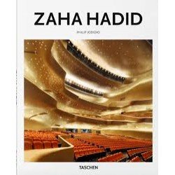 Hadid - Basic Art Series