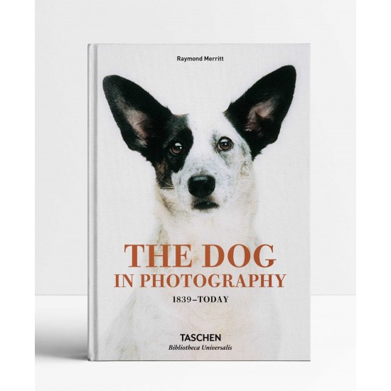 The Dog in Photography 1839–Today