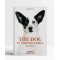 The Dog in Photography 1839–Today