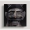 Rarities: From The Himalayas to Hawaii
